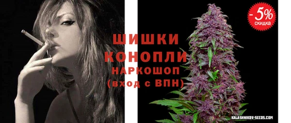 PSILOCYBIN Липки