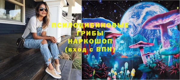 PSILOCYBIN Липки