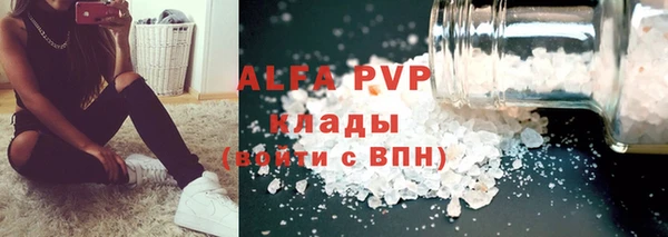 PSILOCYBIN Липки