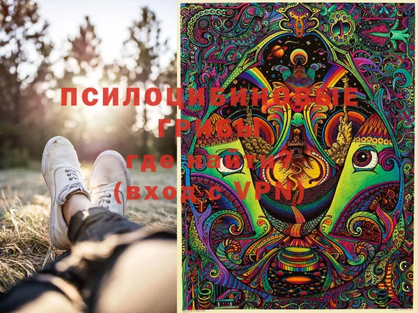 PSILOCYBIN Липки